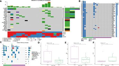 Genomic profiling and immune landscape of olfactory neuroblastoma in China